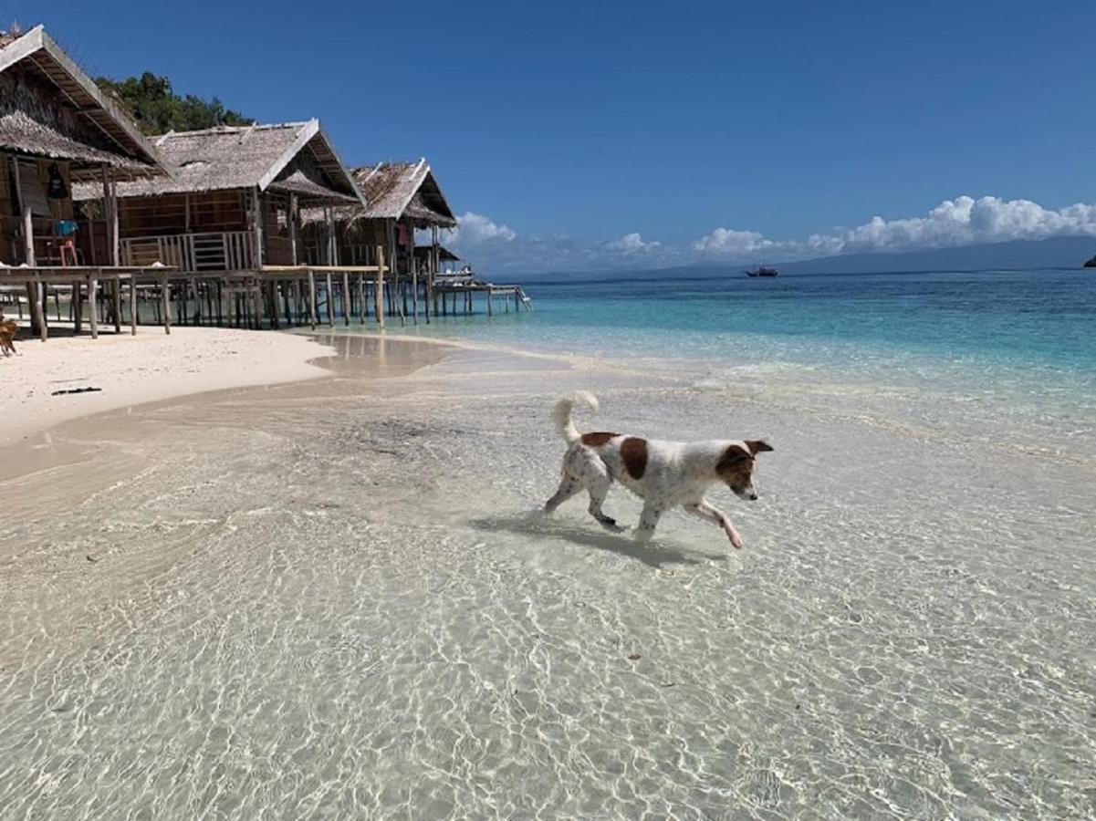 Nus Homestay Raja Ampat Kri ภายนอก รูปภาพ